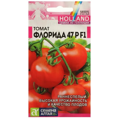 ������ ������ ������ ����� 