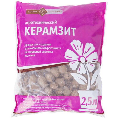 ������ ������ �������� 2.5 � ����