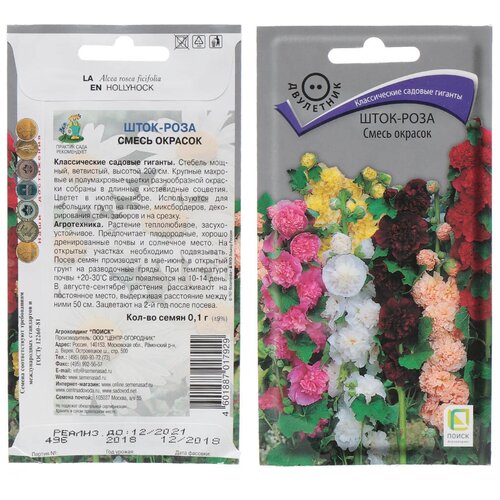 ������ ������ ������ ����-���� ����� ����� ����