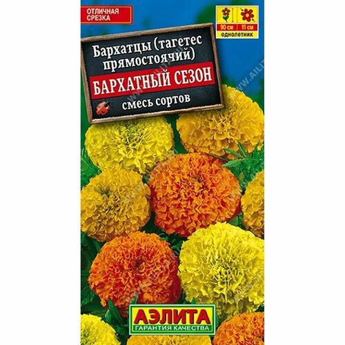 ������ ������ ������ �������� ��������� �����, ����� ������, ����������, (������) 0,1� ����