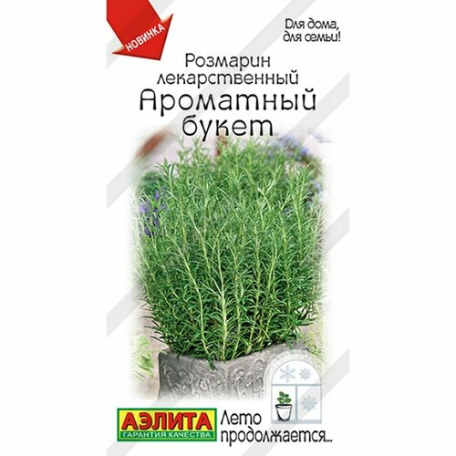 ������ ������ ������ �������� ��������� ����� (������) 15�� ���� ������������ ����