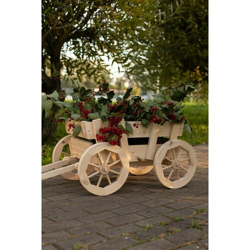 ������ ������ ������������ ���������� ������ ����