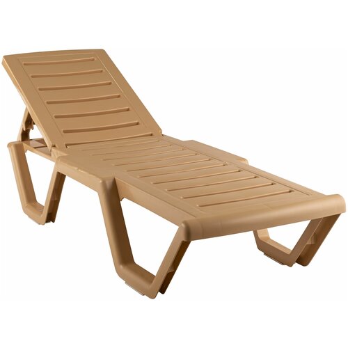 ������ ������ ������� ������ ����