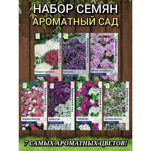 ������ ������ ������ ������ �����, ���������, 7 �����, ���������� ����