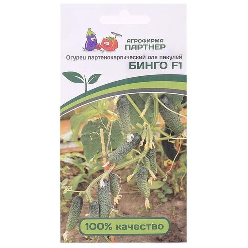 ������ ������ ������ ��������� ������� ������ ����� F1, 5 �� ����