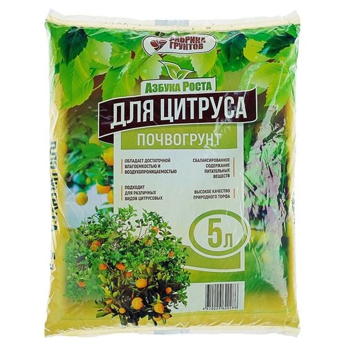 ������ ������ ���������� ������� ������� ������, 5 �, 2.3 �� ����