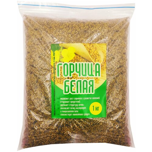 ������ ������ ������ ������� ������� ����� 1 �� ����