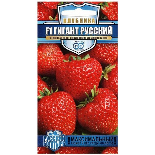 ������ ������ ������ ������ ������� �������� �������� ������������ ������ ������� F1 ����