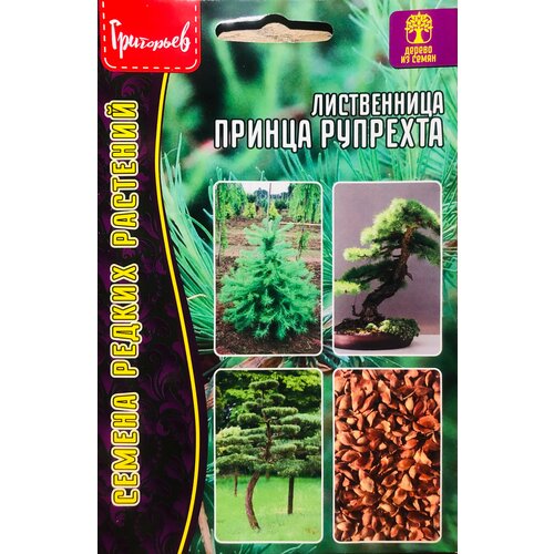 ������ ������ ������ ����������� ������ �������� (15 �����) ����