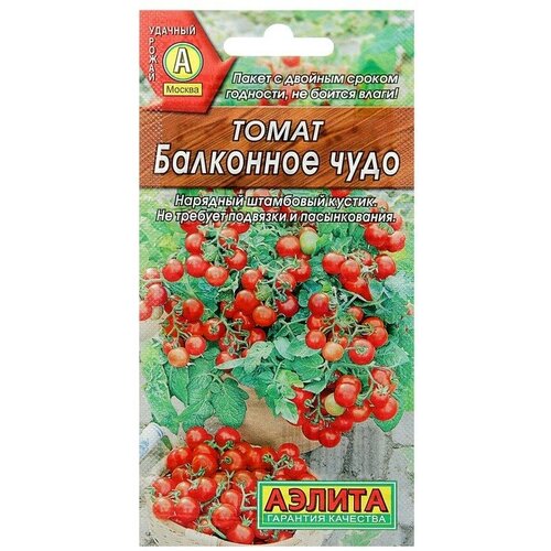 ������ ������ ������ ����� 