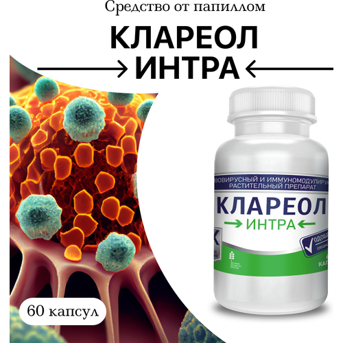 ������ ������ �������� �� ��������� � ��������, 1 ��, 60 ������ ����