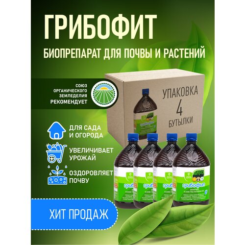 ������ ������ ����������� ���������� ������, Trichoderma viride �� ��������� �����������, ��������� 