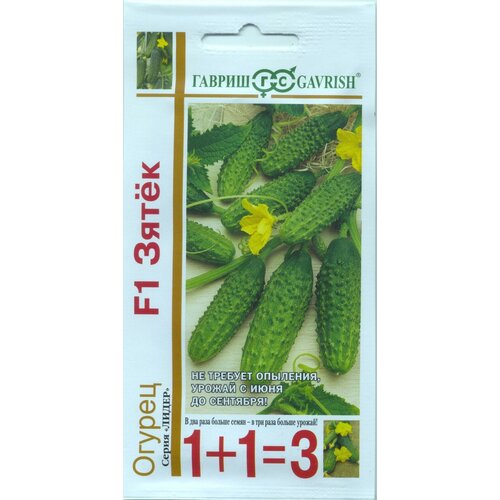 ������ ������ ������ ������� F1 ���� ����