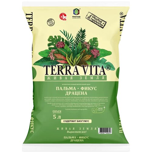 ������ ������ ����� ����� ����� ������-�����-������� 5� ����