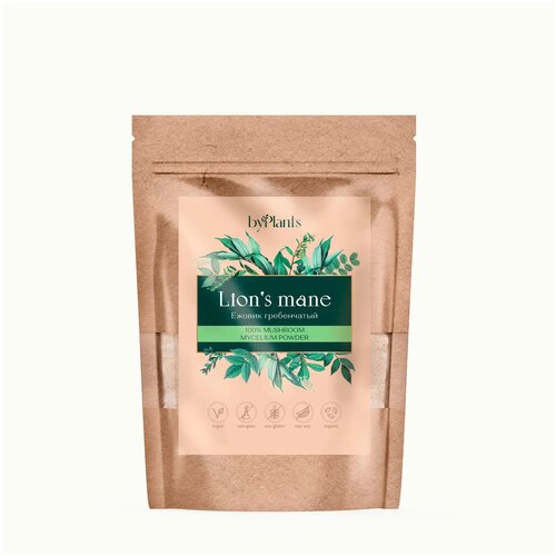 ������ ������ ������� ������� ������������, ������� 100 � ����