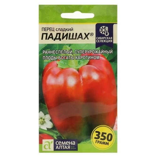 ������ ������ ������ ����� ������� 