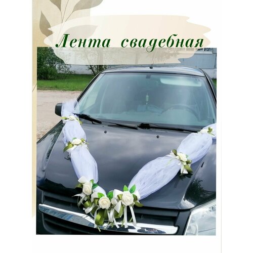 ������ ������ ����� ��������� 