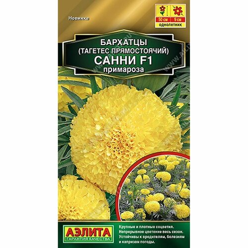 ������ ������ ������ �������� ����� F1 ��������� ����, ����������, (������) 10�� ������� ����� ����