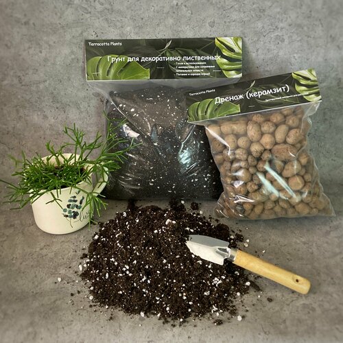 ������ ������ �������� ��� ���������. ������� ����� ��� �������� � ������ Terracotta Plants ����