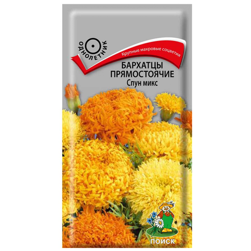 ������ ������ ������� �������� ������������ 