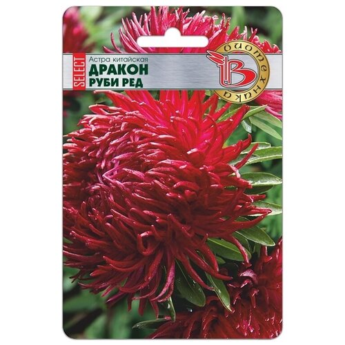 ������ ������ ����� ������ ���� ��� ����