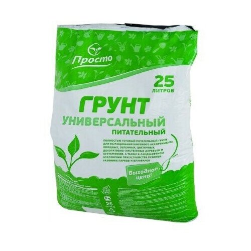 ������ ������ ����� ������������� ������ 25� ����