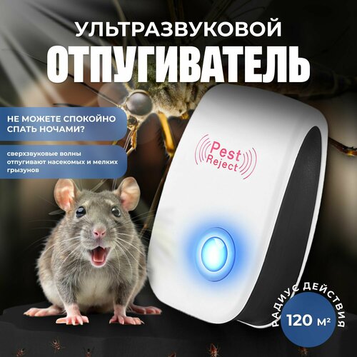 ������ ������ ������������ ����� � ���� �������������� ����