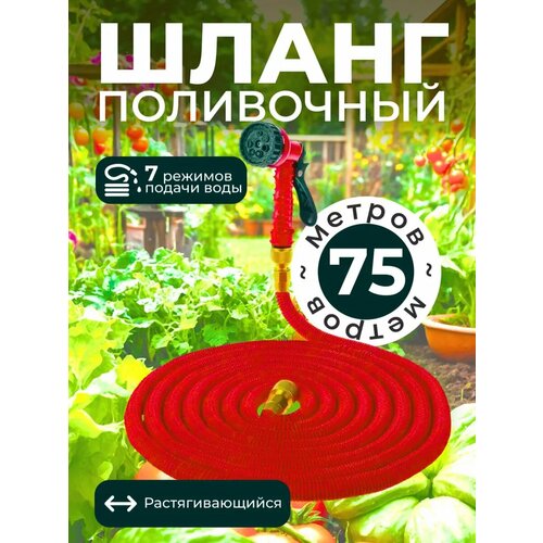 ������ ������ ����� ������� ���������� ��������������� ����