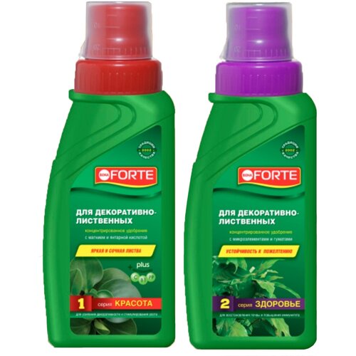 ������ ������ ����� ������ ��������� Bona Forte ��� �����������-���������� �������� ������� 285��+�������� 285�� ����