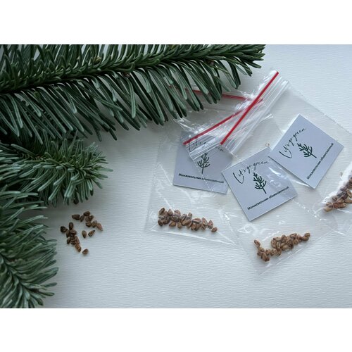 ������ ������ ������ ������������ ������������ ����