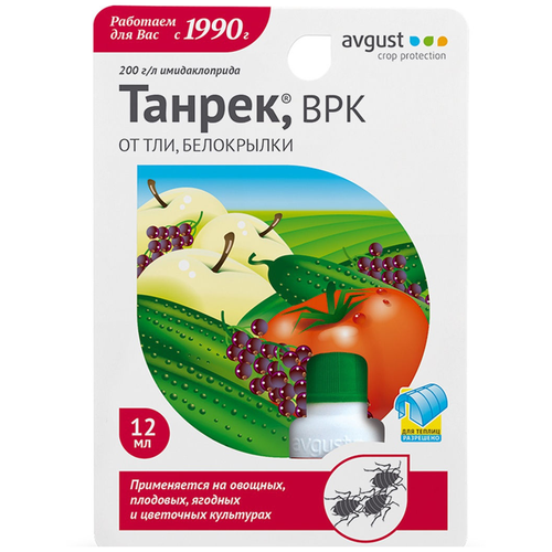 ������ ������ Avgust �������� ������ �� ��� � ����������, 12 ��, 15 � ����