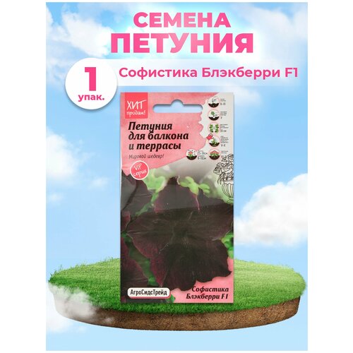 ������ ������ ������ ������� ��������� ��������� ��������� ��������� 5 �� ����