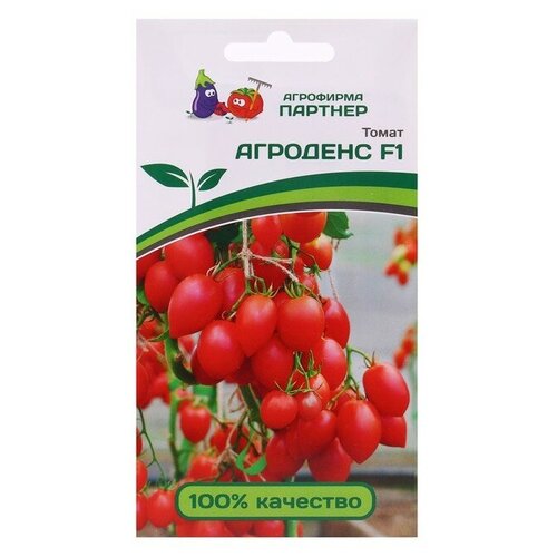 ������ ������ ��������� ������� ������ ����� 