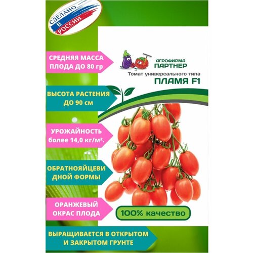 ������ ������ ������ ����� 