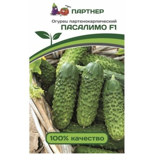 ������ ������ ������ ������ ������� �������� F1 5 ����� ����