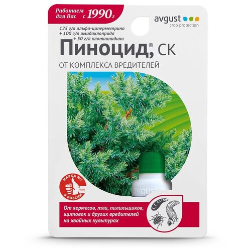 ������ ������ Avgust �������� ������ ��������� ���������� �������, 10 ��, 20 � ����