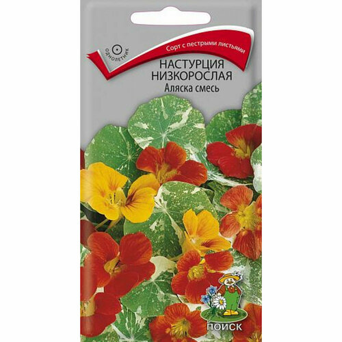 ������ ������ ������ ��������� ������ ����������� 1� ��� ����� 40�� (�����) ����