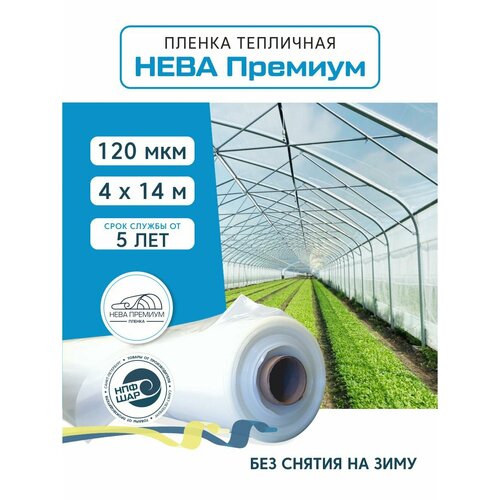 ������ ������ ������ ��� ������ � �������� ���� ������� 120 ���, 4�14 � ����