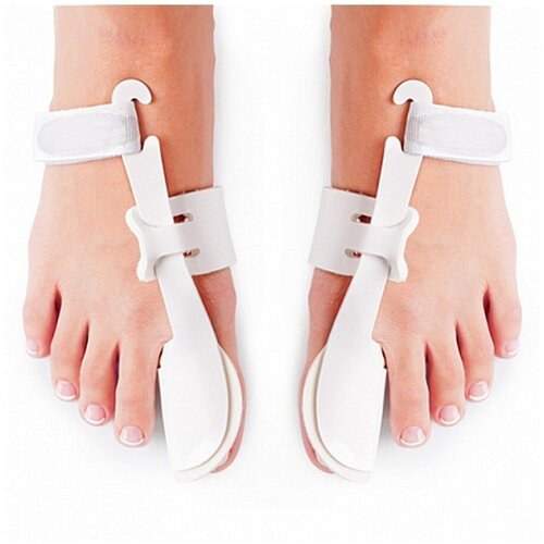 ������ ������ Ortmann ������������� ������� �� ������� ����� ����� Dans, �-�: M, 2 ��. ����