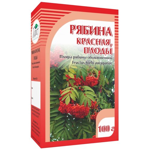 ������ ������ ����� ����� ������ �������, 100 � ����