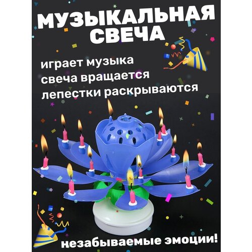 ������ ������ ����� ����������� ����� ��� ����� ���� �������� ����