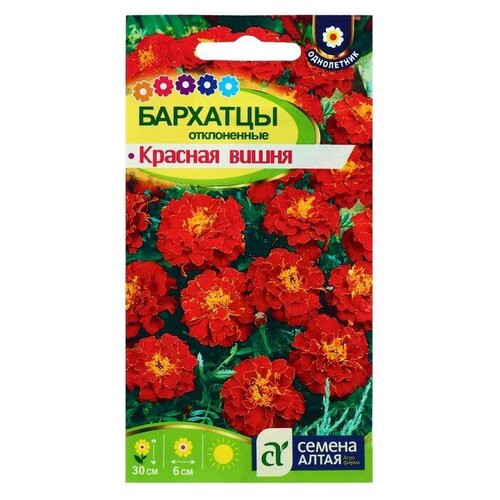 ������ ������ ������ ������ �������� 