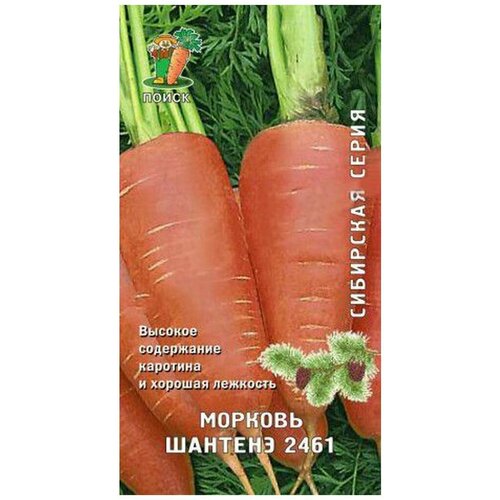 ������ ������ ������ ������� ������� 2461 2 � ����