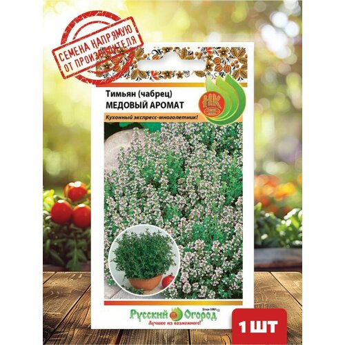 ������ ������ ������ (������) ������� ������ ����