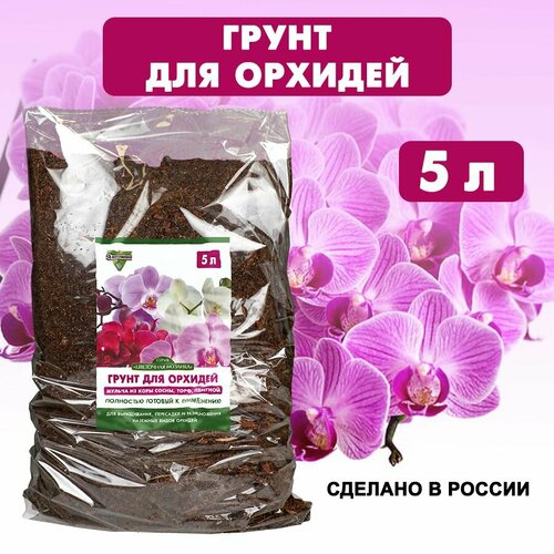 ������ ������ ����� ��� ������� �� ������ �������� ����, 5 � ����