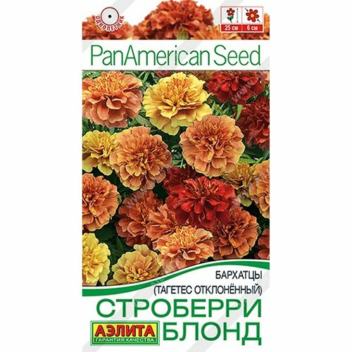 ������ ������ ������ �������� ��������� ����� ����������, (������) 5�� PanAmerican ����