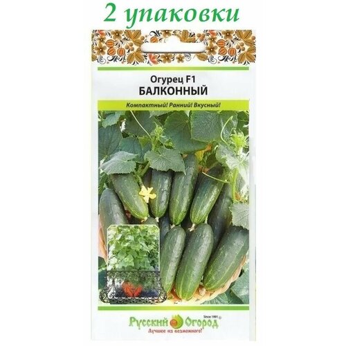 ������ ������ ������ 