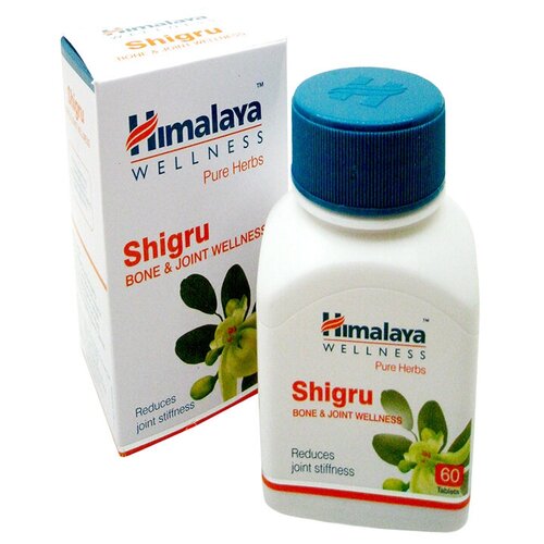 ������ ������ Shigru, 60 �, 60 ��. ����