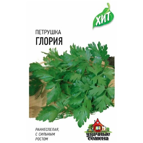 ������ ������ �������� �������� ������ ����