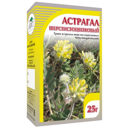 ������ ������ ����� ����� �������� ������������������, 35 � ����